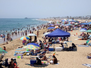 pest control of newport beach ca